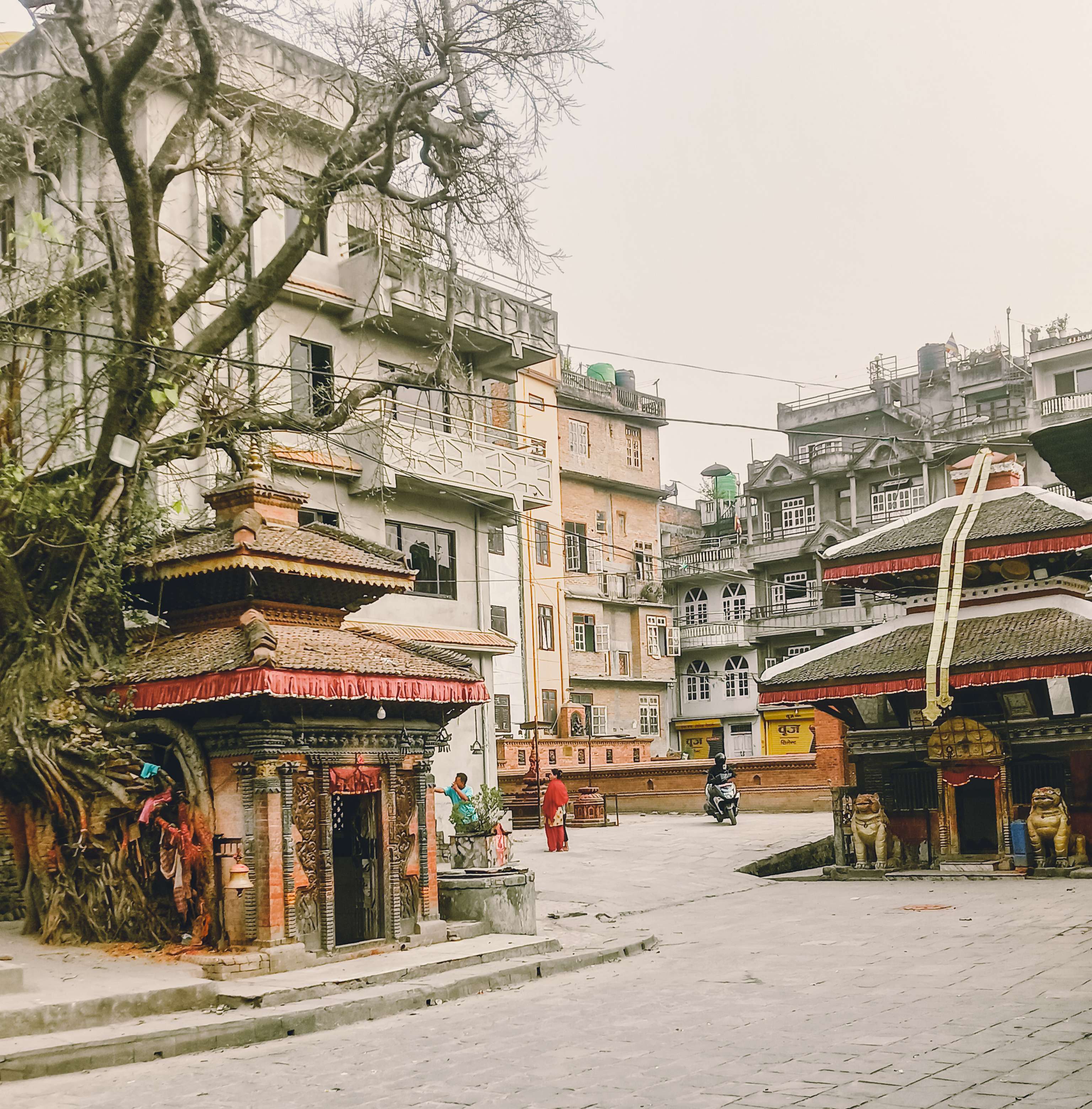 sana gaun temple